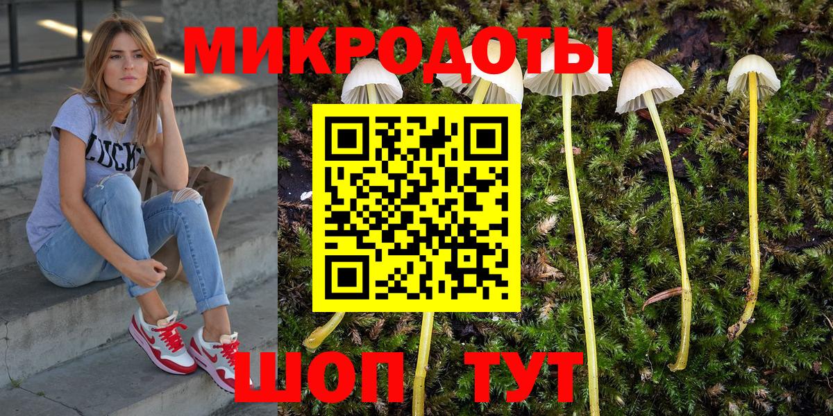 Шахты  Галлюциногенные грибы Cubensis  как найти   Вход с VPN 