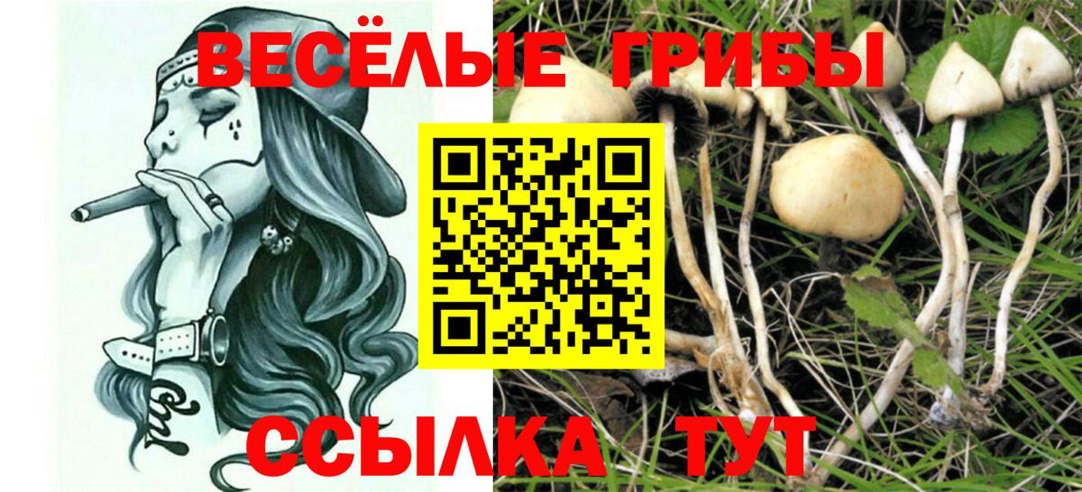 Галлюциногенные грибы мицелий Шахты